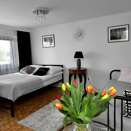Spytkowice - Energylandia Krakow Oswiecim Wadowice Apartment *